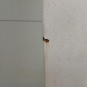 RENAULT KANGOO 2 PHASE 2