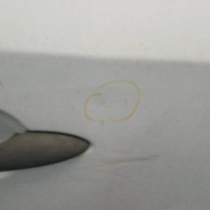 RENAULT KANGOO 2 PHASE 2