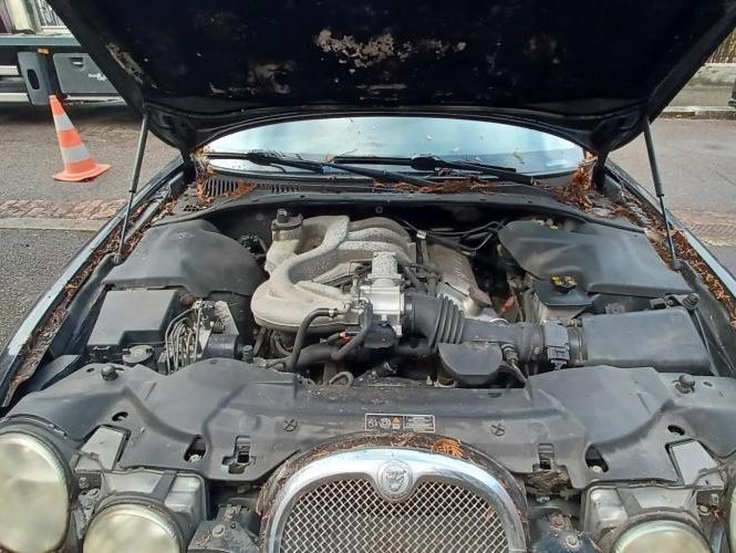 JAGUAR S-TYPE PHASE 1