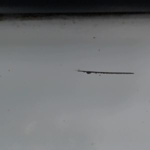 RENAULT MEGANE 2 PHASE 1 BREAK