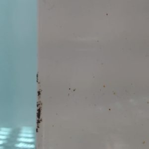 RENAULT MEGANE 2 PHASE 1 BREAK