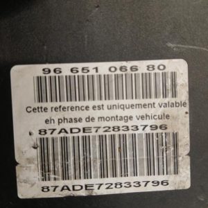 CITROEN C4 PICASSO 1