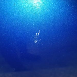 CITROEN C1 1 PHASE 1