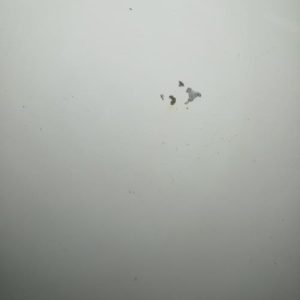 PEUGEOT BOXER 3 PHASE 1