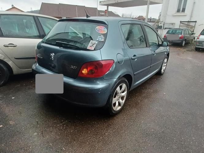 PEUGEOT 307