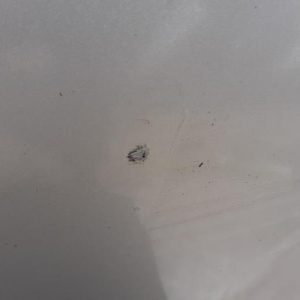 TOYOTA COROLLA VERSO 2 PHASE 2