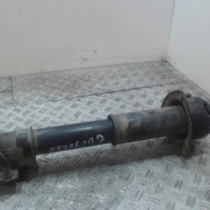 SUZUKI GRAND VITARA 1