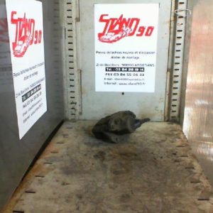 RENAULT CLIO 1 PHASE 1