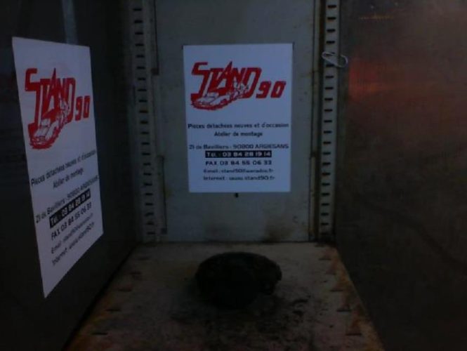 MERCEDES CLASSE M 163 PHASE 1