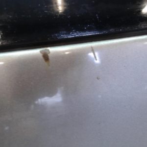 VOLKSWAGEN POLO 4 PHASE 1