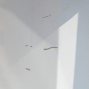 RENAULT MASTER 2 PHASE 1