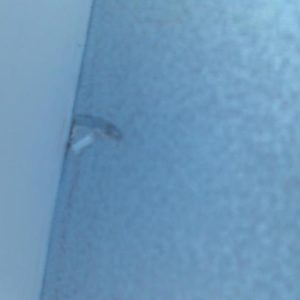 RENAULT KANGOO 1 PHASE 2