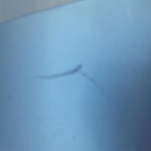 RENAULT KANGOO 1 PHASE 2