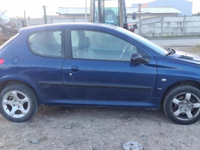 PEUGEOT 206 PHASE 1