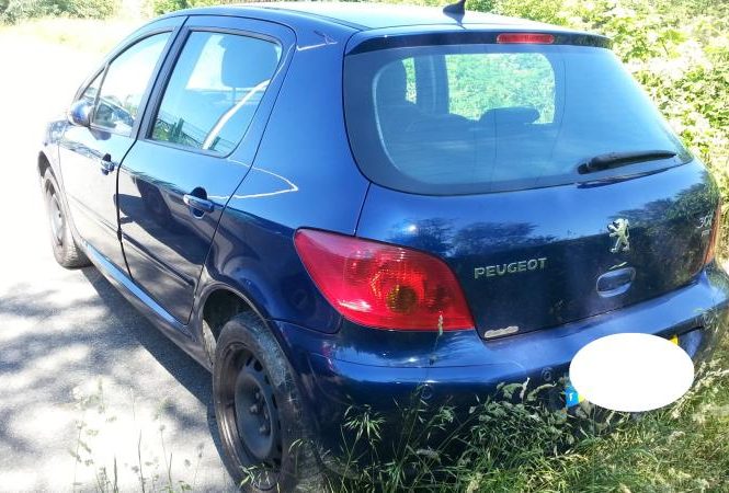PEUGEOT 307 PHASE 1