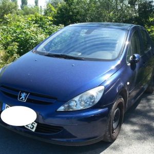 PEUGEOT 307 PHASE 1
