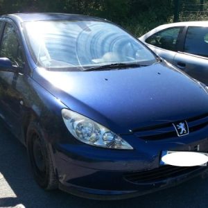 PEUGEOT 307 PHASE 1