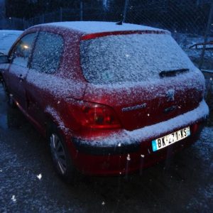 PEUGEOT 307 PHASE 1
