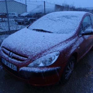 PEUGEOT 307 PHASE 1