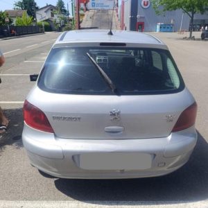 PEUGEOT 307 PHASE 1