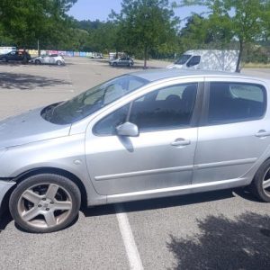PEUGEOT 307 PHASE 1