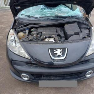 PEUGEOT 207 PHASE 1