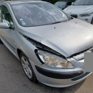 PEUGEOT 307 PHASE 1