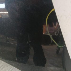 TOYOTA RAV4 3 PHASE 1