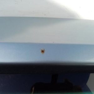 FORD S-MAX 1 PHASE 1