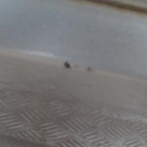 PEUGEOT 308 1 SW PHASE 2 BREAK