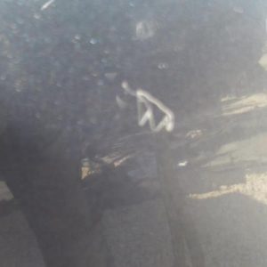 VOLKSWAGEN TOURAN 1 PHASE 1