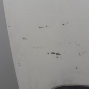 FIAT FIORINO 3 PHASE 1