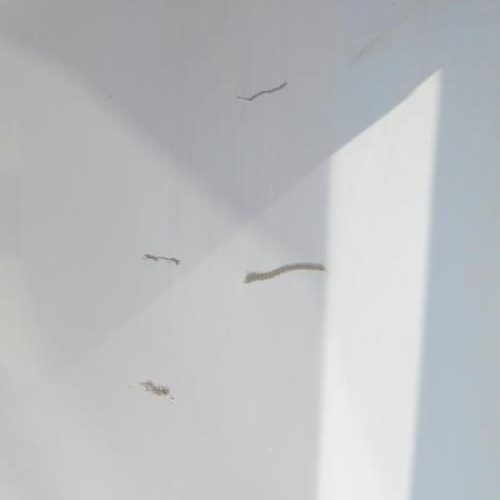 RENAULT MASTER 2 PHASE 1