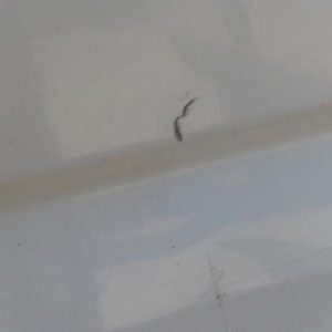 CITROEN JUMPY 1 PHASE 1