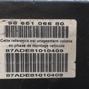 CITROEN C4 PICASSO 1