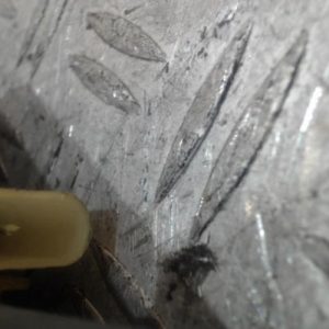 PEUGEOT 307 PHASE 1 CABRIOLET