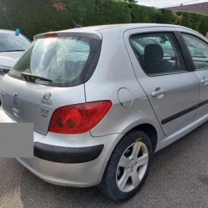 PEUGEOT 307 PHASE 1