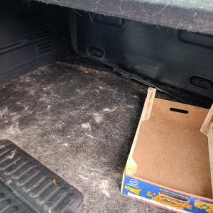 RENAULT KANGOO 2 PHASE 1