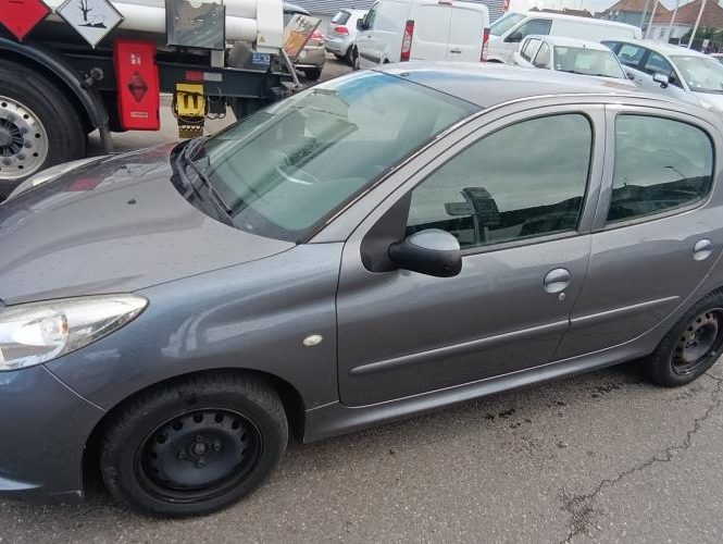 PEUGEOT 206+