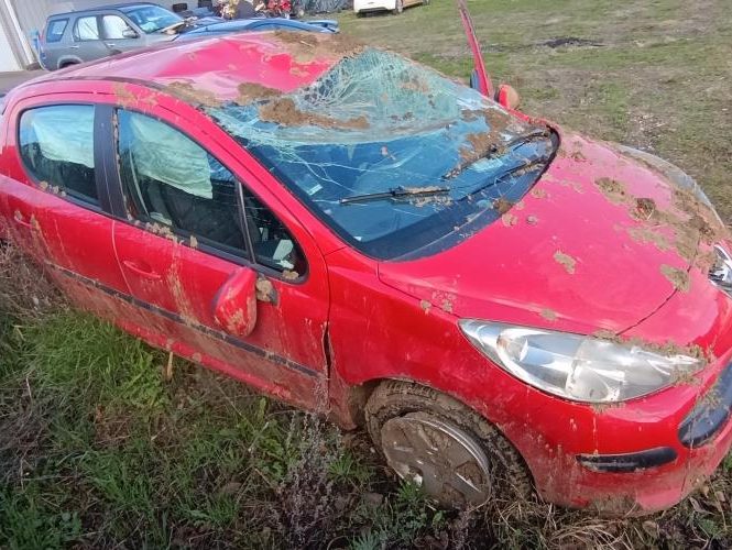 PEUGEOT 207 PHASE 1