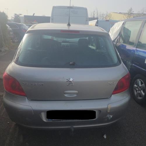 PEUGEOT 307 PHASE 1