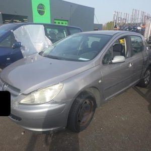 PEUGEOT 307 PHASE 1