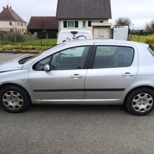 PEUGEOT 307 PHASE 1