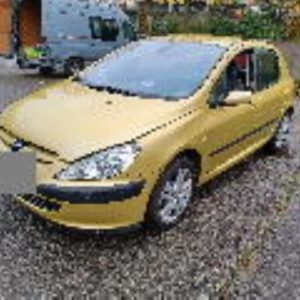 PEUGEOT 307 PHASE 1