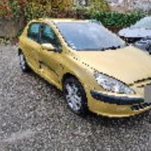PEUGEOT 307 PHASE 1
