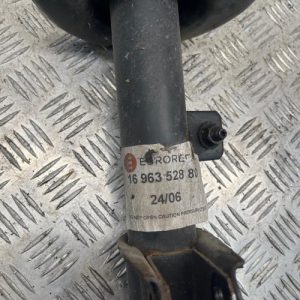 CITROEN C4 PICASSO 1