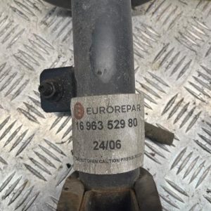 CITROEN C4 PICASSO 1