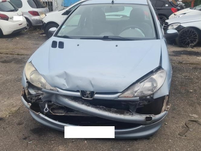 PEUGEOT 206 PHASE 1