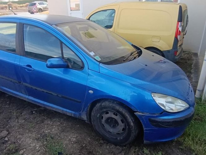 PEUGEOT 307 PHASE 1
