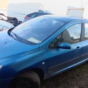 PEUGEOT 307 PHASE 1